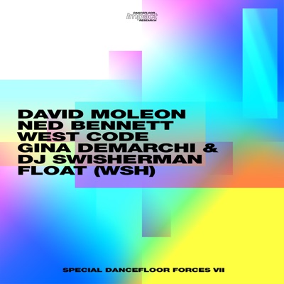 Special Dancefloor Forces VII - EP
