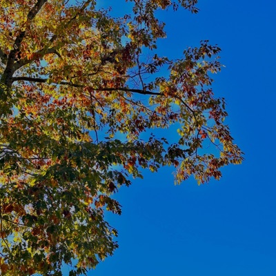 Autumn breeze - Single