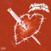 NIENTE AMORE - Single - Savage boy