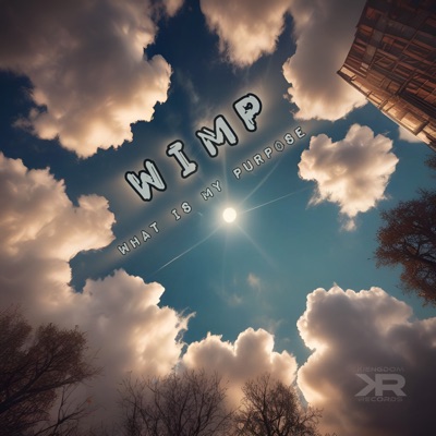 What is my purpose (feat. Hazy burn$ & November Baby) - Single