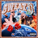 S.W.E.A.T. 2