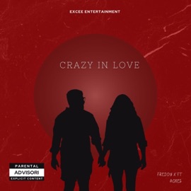 Crazy In Love (feat. AGNES LIB. QUEEN) Freddy X