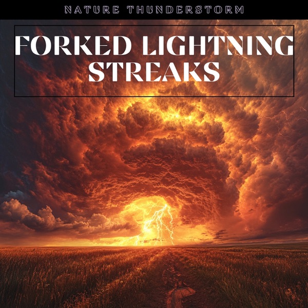 Forked Lightning Streaks