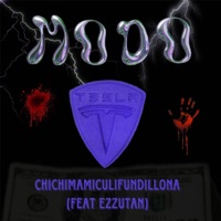 CHICHIMAMICULIFUNDILLONA (feat. EzzutanOfficial) - Single - Zkyy