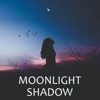 Moonlight Shadow (Guitar Version) - Single