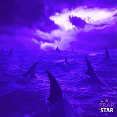 Trap (feat. JugoDidIt! & CHARLESGOTCASH) [(Shark Remix)] - Single