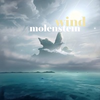 Wind - Single - molenstein