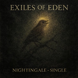 Nightingale - Single
