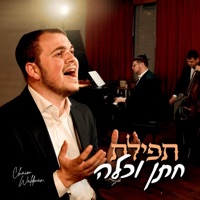Tefilas Chosson V'Kallah - Single - Chaim Waldman