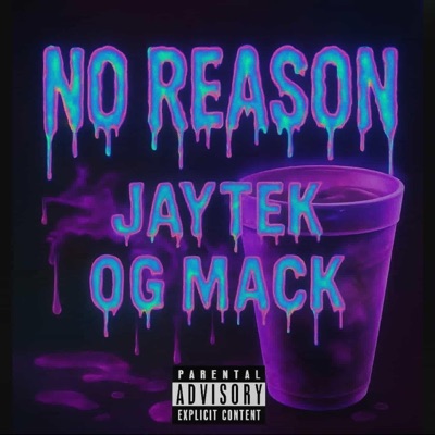 No Reason (feat. JayTek) - Single