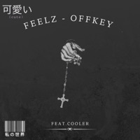 FEELZ (OFFKEY) (feat. Cooler) - Single - FEELZOFICIAL 12