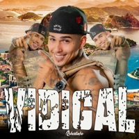 Vidigal - Single - Robertinho & Custic