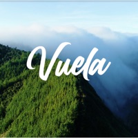 Vuela (feat. Estación Caribe & Rasbarule) - Single - School Mc, radio caliente & Chelo La Cabra