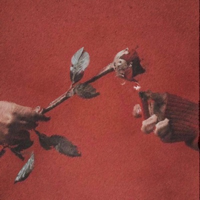 Wifey Riddim (feat. Conrad Kira) - Single