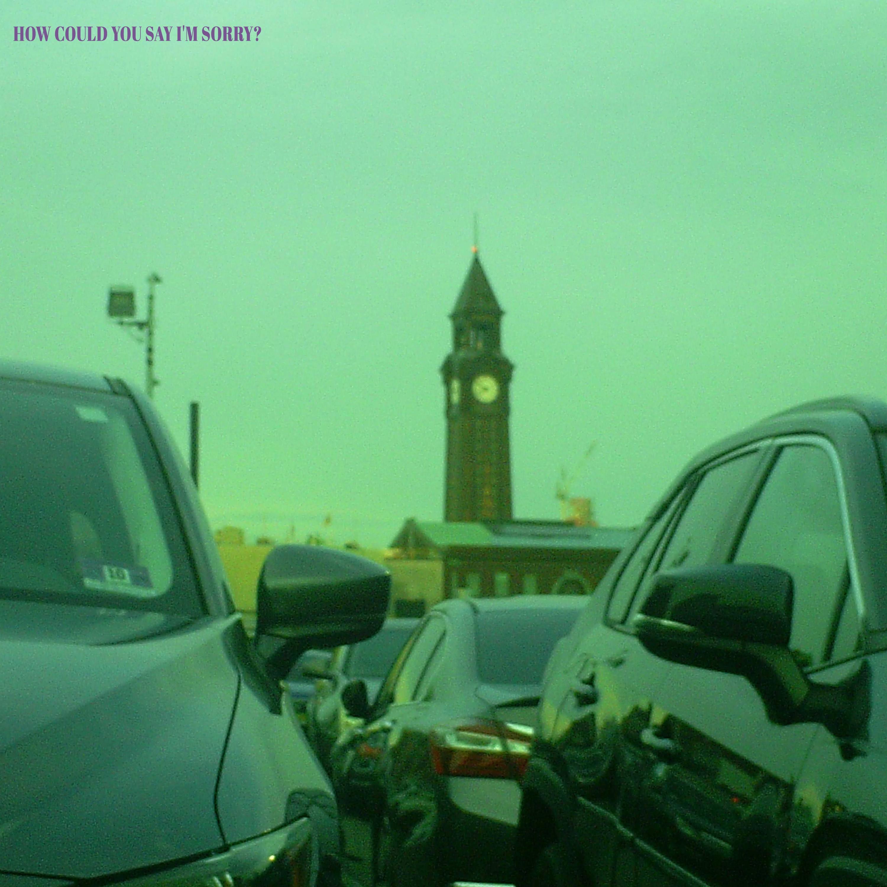 How Could You Say I'm Sorry? - Single