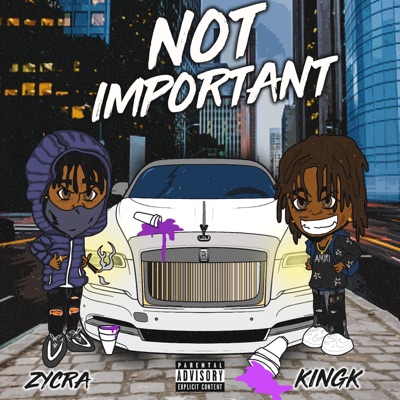 Not Important (feat. Kingk) - Single