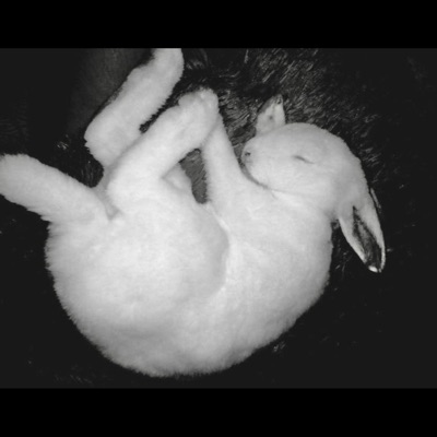 not worth it - Single