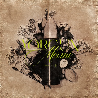 Yorgun Mermi - Single