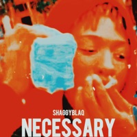 Necessary - Single - Shaggyblaq