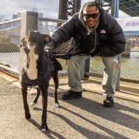 H.I.M You Need To Leave - Single - H.I.M