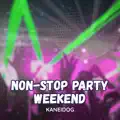 Non Stop Party Weekend