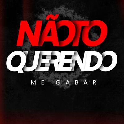 Não To Querendo Me Gabar - Single