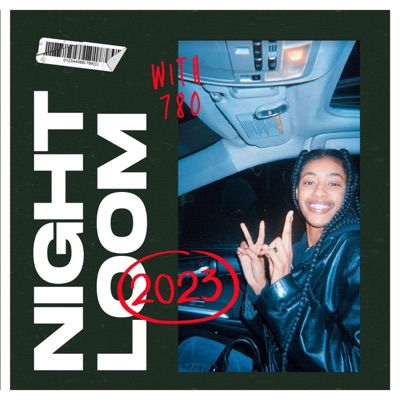 Northern Escape (feat. RAWW, Mizaaj & Rajah) - Single