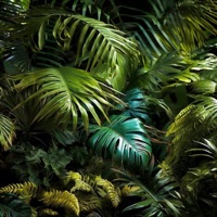 Perfect Girl (feat. Vizcor) - Single - CATVLYST