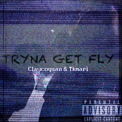 Tryna Get Fly (feat. Tkmari) - Single