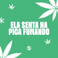Ela Senta na Pica Fumando - Single - Dj rosente