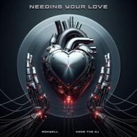 Needing Your Love - Single - Rokwell & Kong the Dj
