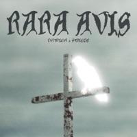 Rara Avis - Single - Nawzea