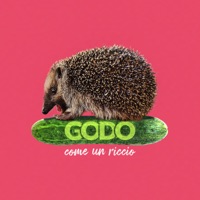 Come un riccio - Single - Godo