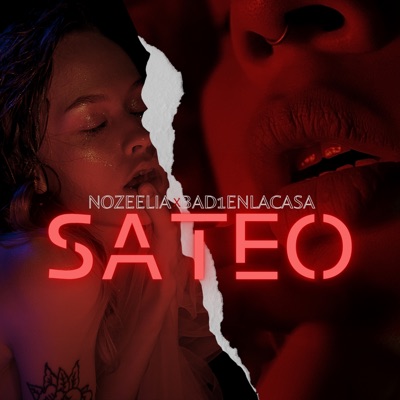 Sateo - Single