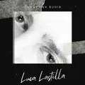 Dammi una bugia