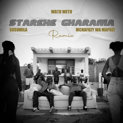 Starehe Gharama (feat. susumila & Mchafuzy wa mapozi) - Single
