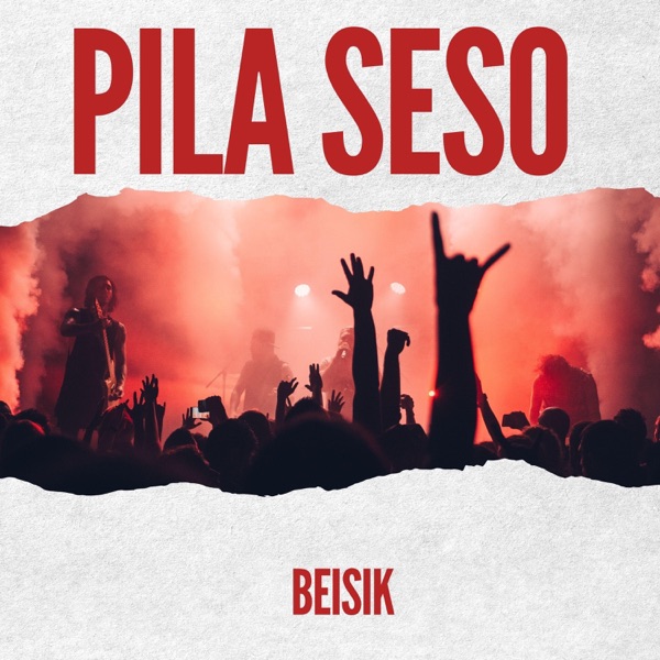 PILA SESO