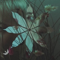 Inside the Fall 2 - Single - Blancah