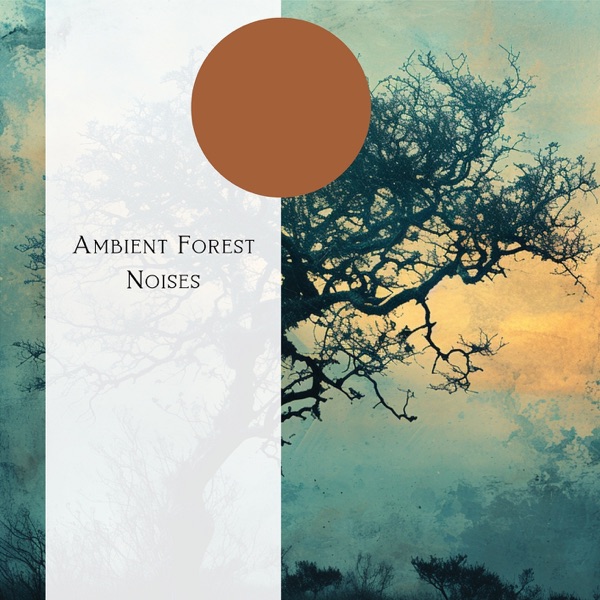 Ambient Forest Noises