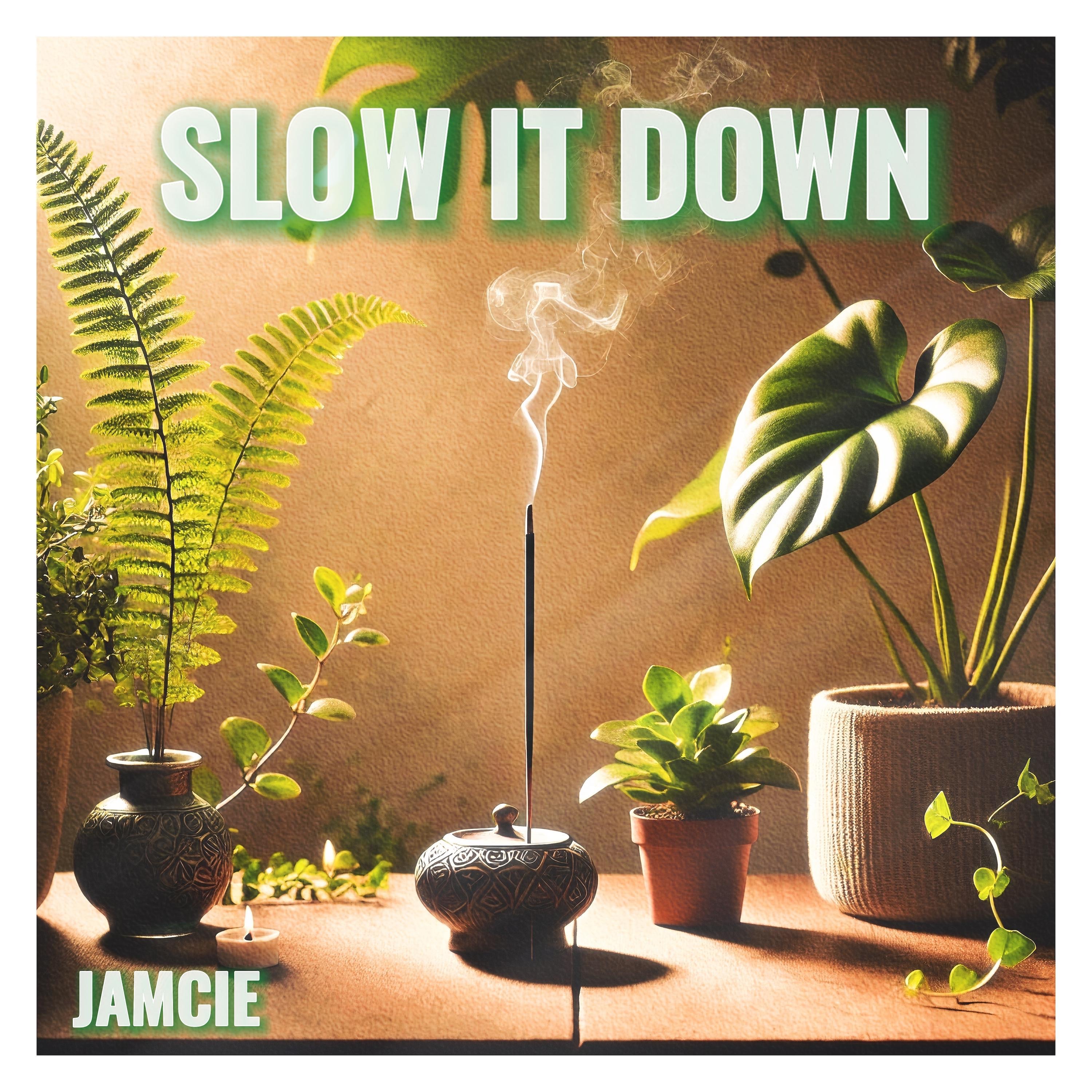 Slow it Down - Single