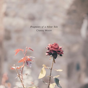 Fragments of a Silent Tale