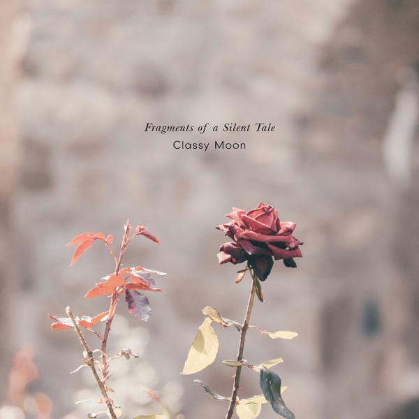 Fragments of a Silent Tale