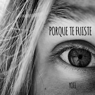 Porque te fuiste - Single