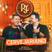 RICARDO E JOAO FERNANDO