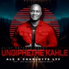 Ungiphethe Kahle (feat. Jon Delinger & SeeZus Beats) - Single