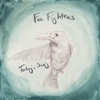Foo Fighters