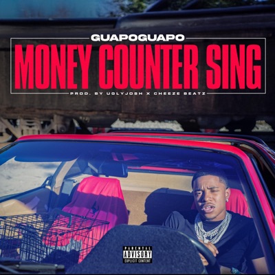Money Counter Sing - Single