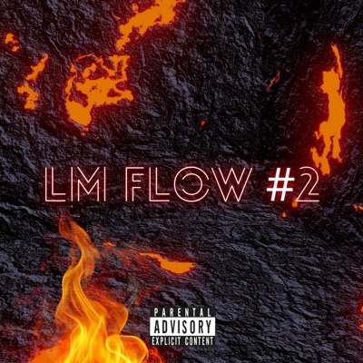 LMFLOW#2 - Single