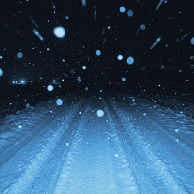 winter solitude - Single