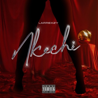 Nkechi - Single